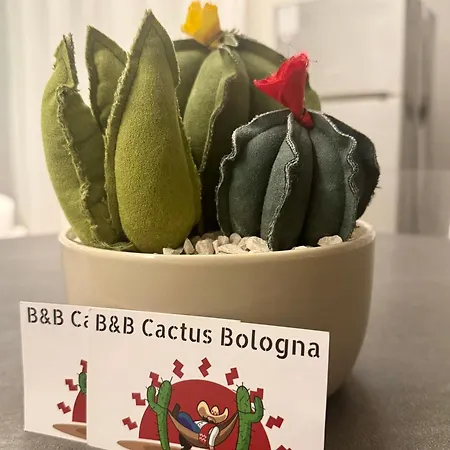 Bed & Breakfast Cactus *
